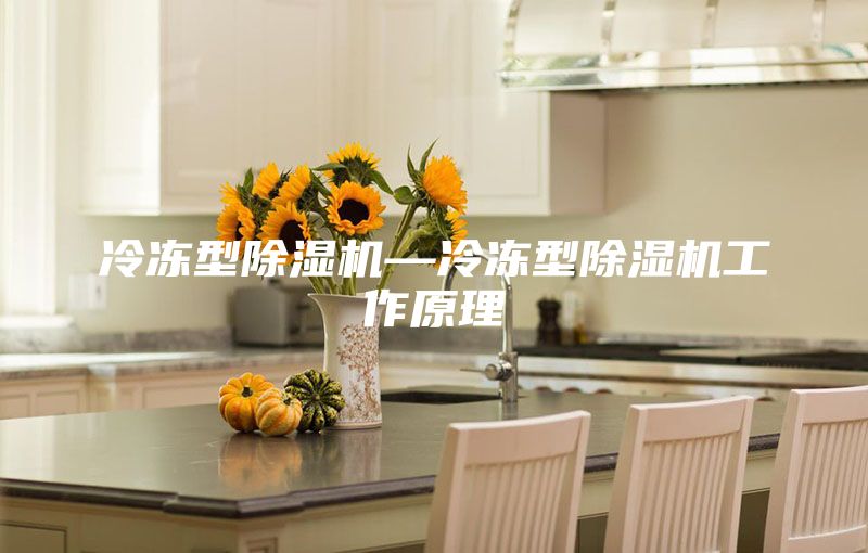 冷冻型除湿机—冷冻型除湿机工作原理