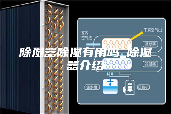 除湿器除湿有用吗_除湿器介绍