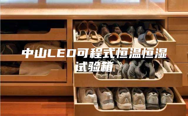 中山LED可程式恒温恒湿试验箱
