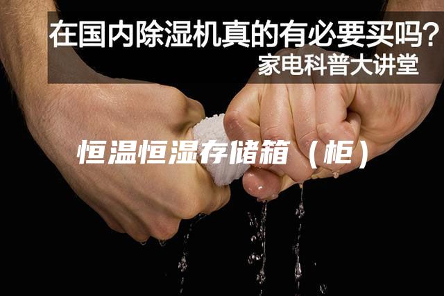恒温恒湿存储箱（柜）