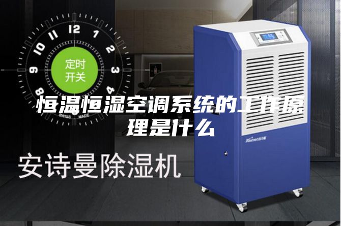 恒温恒湿空调系统的工作原理是什么