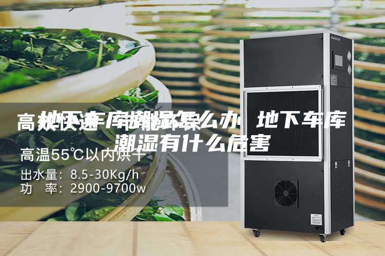 地下车库潮湿怎么办 地下车库潮湿有什么危害