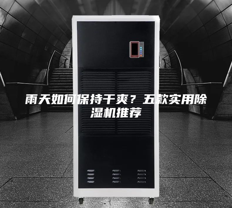 雨天如何保持干爽？五款实用除湿机推荐