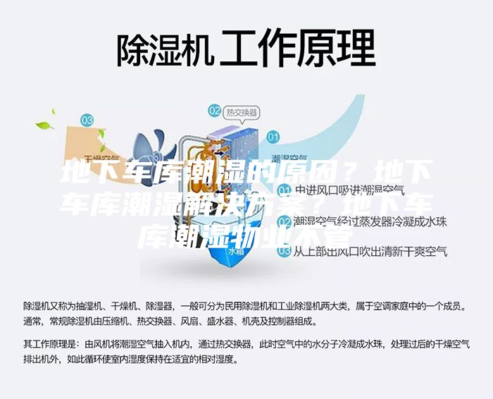 地下车库潮湿的原因？地下车库潮湿解决方案？地下车库潮湿物业不管