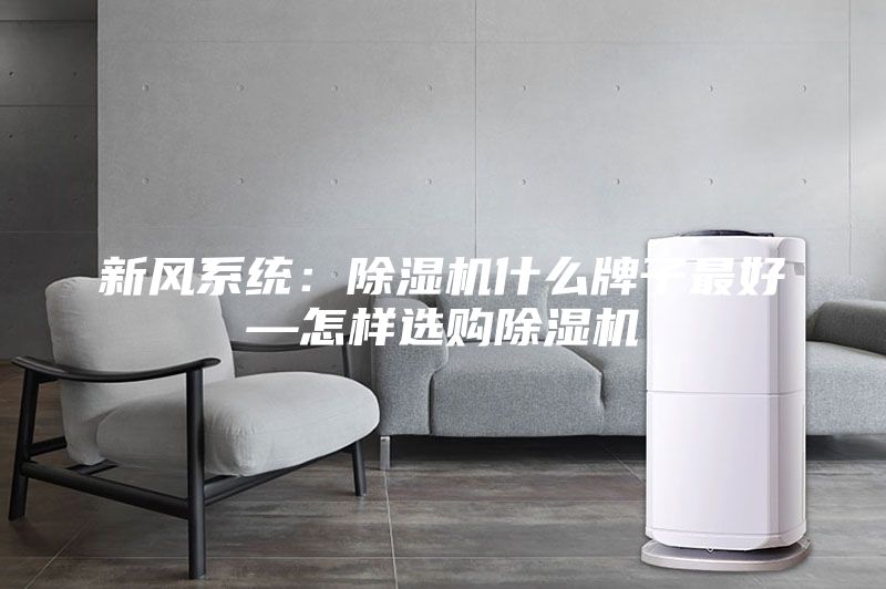 新风系统：除湿机什么牌子最好—怎样选购除湿机