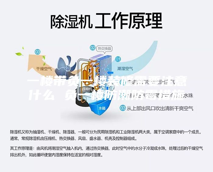 一楼带负一楼装修需要注意什么 负一楼防潮防霉措施