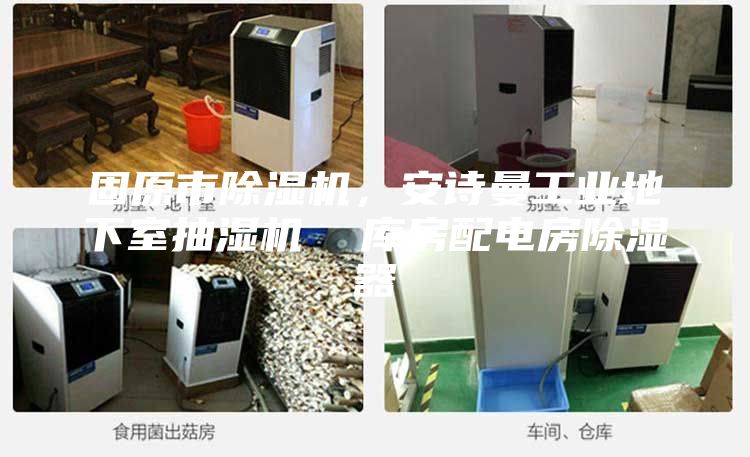 固原市除湿机，安诗曼工业地下室抽湿机  库房配电房除湿器