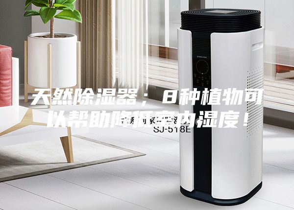 天然除湿器；8种植物可以帮助降低室内湿度！