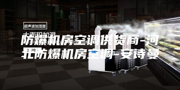 防爆机房空调供货商-河北防爆机房空调-安诗曼