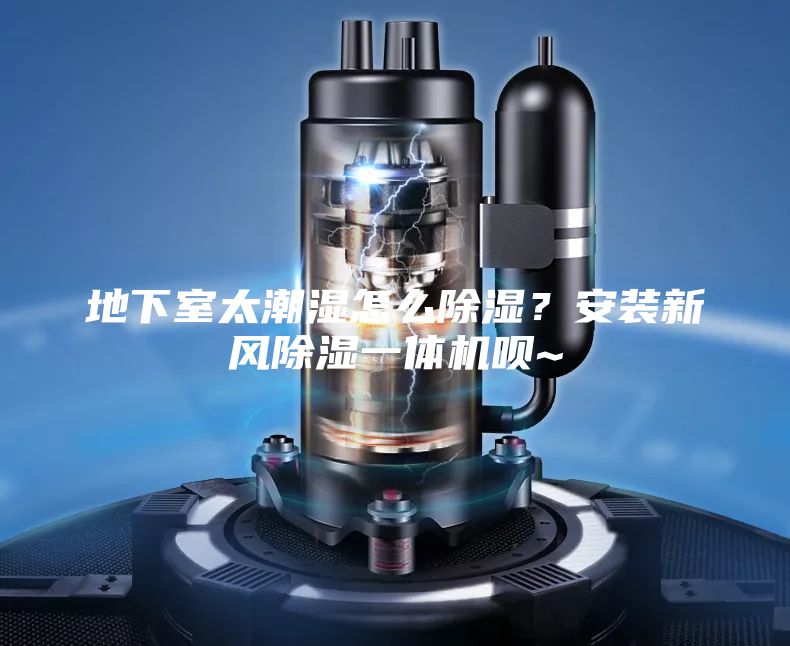 地下室太潮湿怎么除湿?安装新风除湿一体机呗~