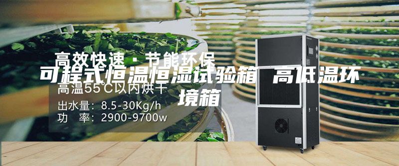 可程式恒温恒湿试验箱 高低温环境箱