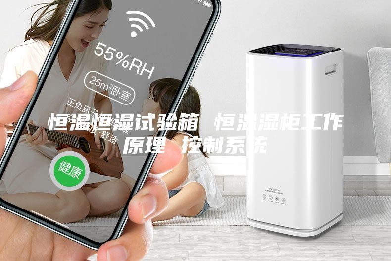 恒温恒湿试验箱 恒温湿柜工作原理 控制系统