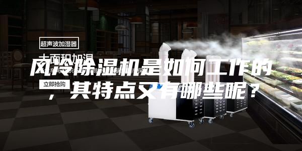 风冷除湿机是如何工作的,其特点又有哪些呢?