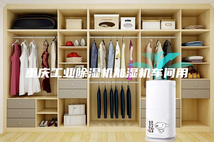 重庆工业除湿机加湿机车间用