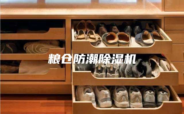 粮仓防潮除湿机