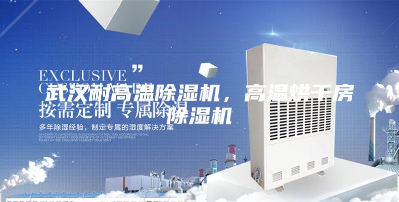 武汉耐高温除湿机，高温烘干房除湿机