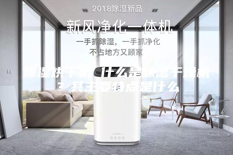 除湿烘干机 什么是除湿干燥机？其主要特点是什么