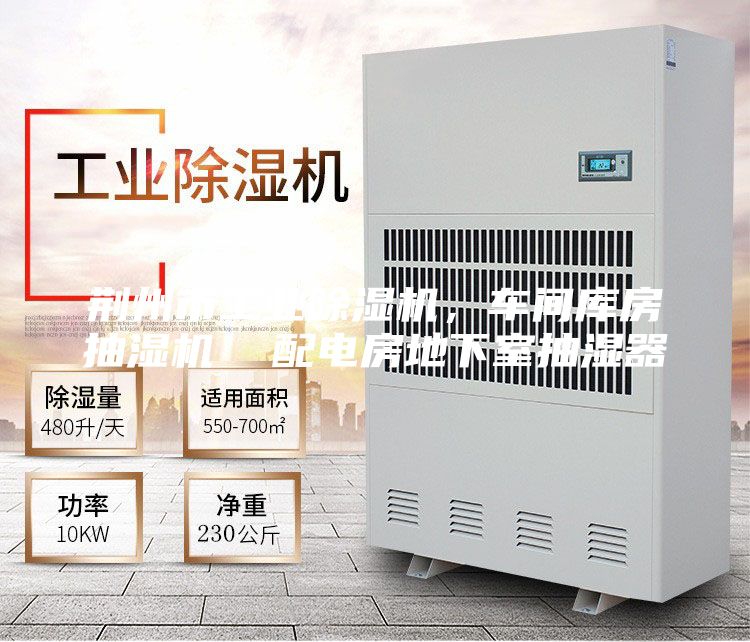 荆州市工业除湿机,车间库房抽湿机 配电房地下室抽湿器
