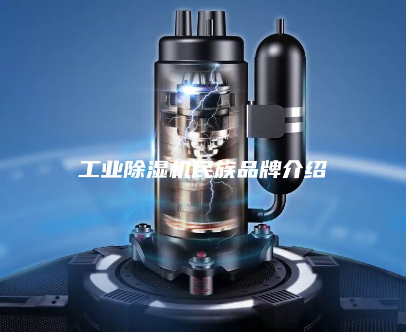 工业除湿机民族品牌介绍