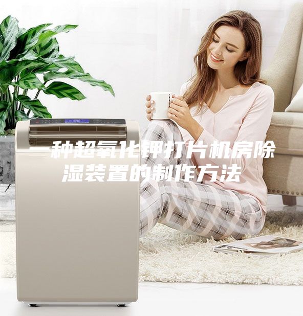 一种超氧化钾打片机房除湿装置的制作方法
