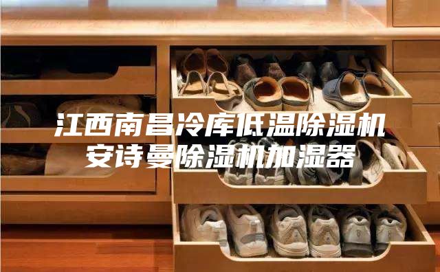 江西南昌冷库低温除湿机安诗曼除湿机加湿器