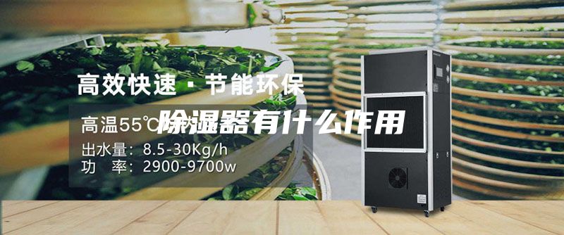除湿器有什么作用