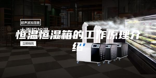 恒温恒湿箱的工作原理介绍