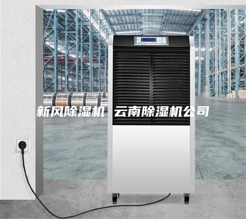 新风除湿机 云南除湿机公司