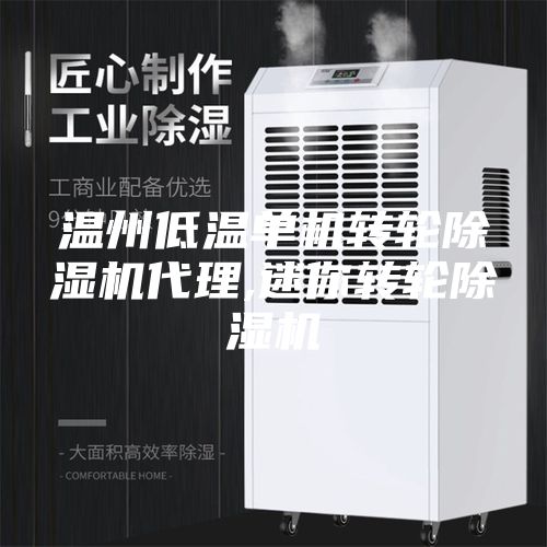温州低温单机转轮除湿机代理,迷你转轮除湿机