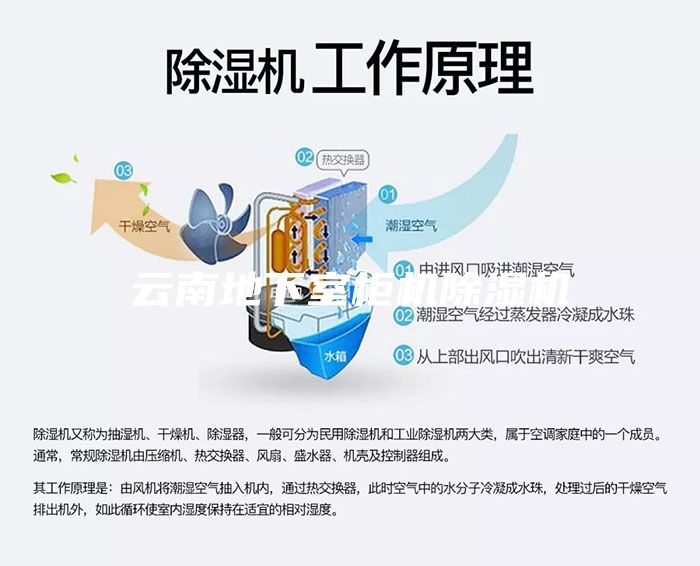 云南地下室柜机除湿机