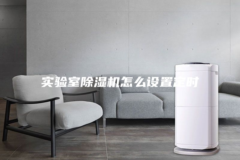 实验室除湿机怎么设置定时