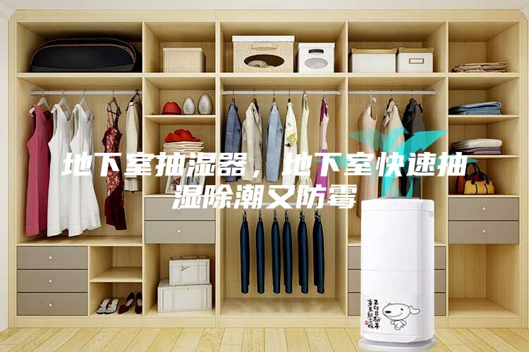 地下室抽湿器，地下室快速抽湿除潮又防霉