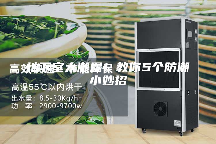 地下室太潮湿！教你5个防潮小妙招