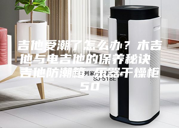 吉他受潮了怎么办？木吉他与电吉他的保养秘诀 吉他防潮箱 乐器干燥柜50