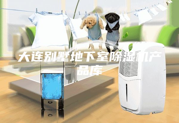 大连别墅地下室除湿机产品库