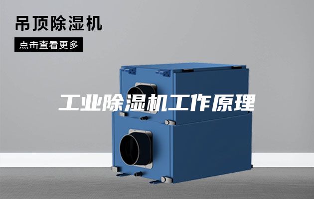 工业除湿机工作原理