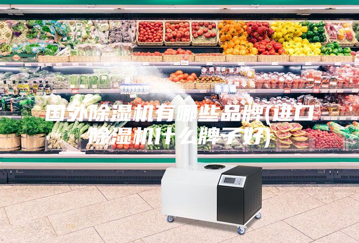 国外除湿机有哪些品牌(进口除湿机什么牌子好)