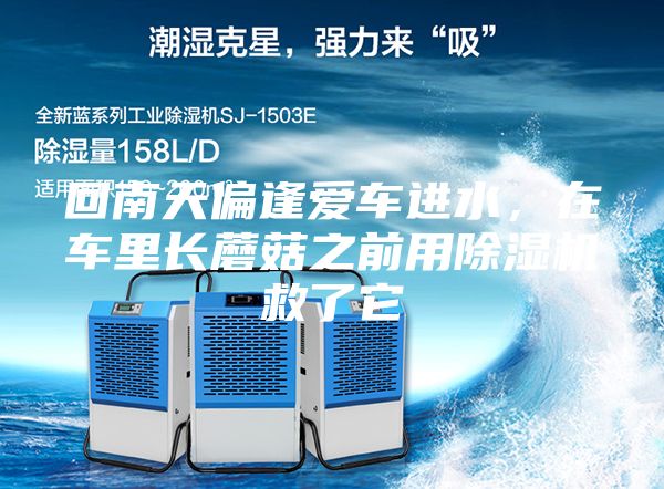 回南天偏逢爱车进水，在车里长蘑菇之前用除湿机救了它