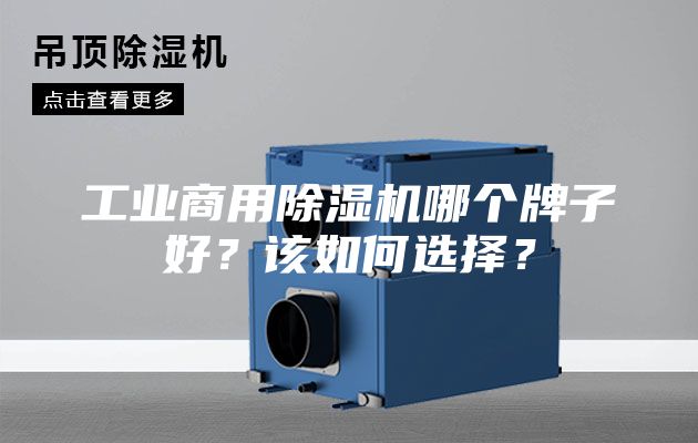 工业商用除湿机哪个牌子好?该如何选择?
