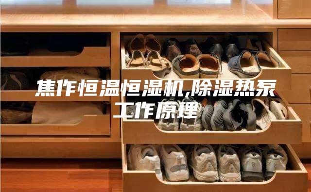 焦作恒温恒湿机,除湿热泵工作原理
