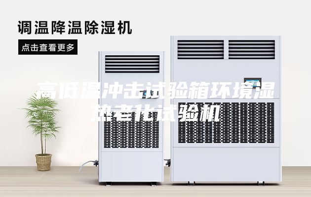 高低温冲击试验箱环境湿热老化试验机
