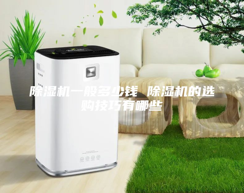 除湿机一般多少钱 除湿机的选购技巧有哪些