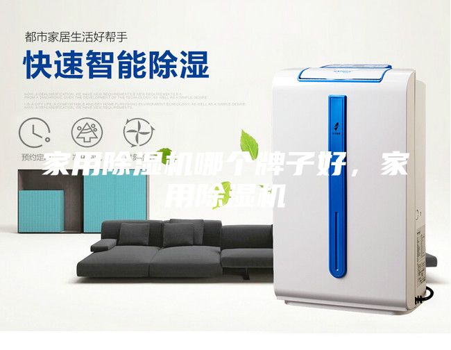 家用除湿机哪个牌子好，家用除湿机