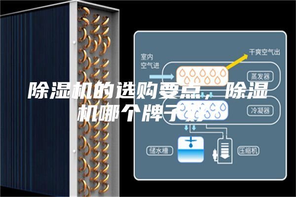 除湿机的选购要点，除湿机哪个牌子好？
