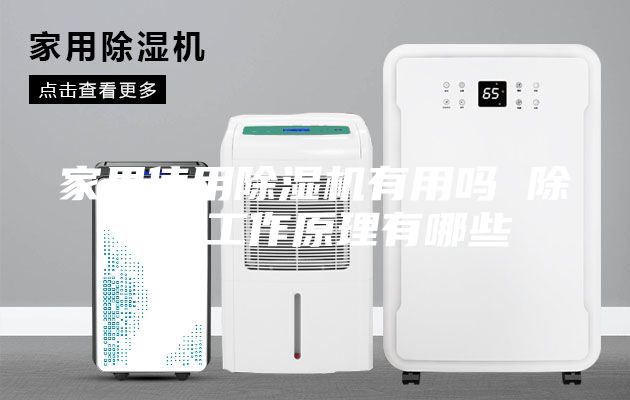家里使用除湿机有用吗 除湿机工作原理有哪些
