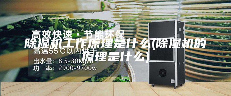 除湿机工作原理是什么(除湿机的原理是什么)