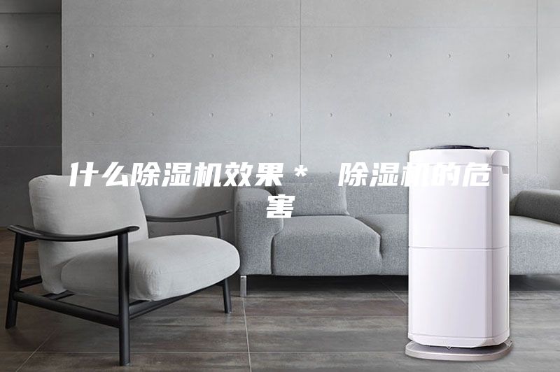 什么除湿机效果＊ 除湿机的危害
