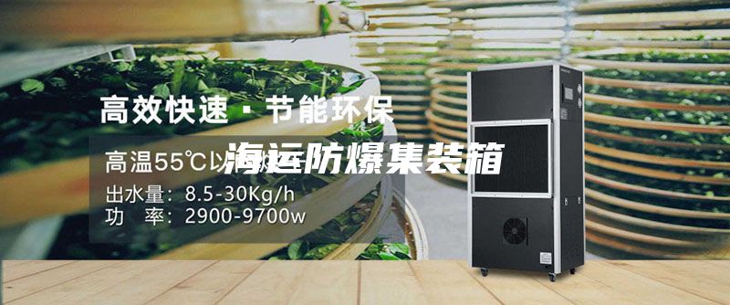 海运防爆集装箱