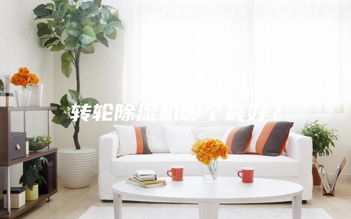 转轮除湿机哪个最好？