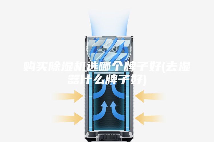 购买除湿机选哪个牌子好(去湿器什么牌子好)